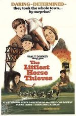 Watch The Littlest Horse Thieves 123MovieFree