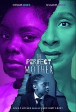 Watch The Perfect Mother 123MovieFree