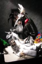 Watch Ornithology 123MovieFree