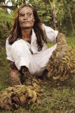 Watch Treeman Search for the Cure 123MovieFree