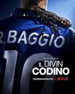 Watch Baggio: The Divine Ponytail 123MovieFree