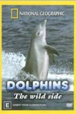 Watch Dolphins: The Wild Side 123MovieFree