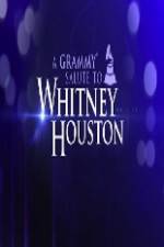Watch We Will Always Love You A Grammy Salute to Whitney Houston 123MovieFree