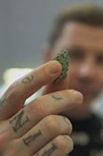 Watch Professor Green: Is It Time to Legalise Weed? 123MovieFree