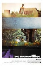 Watch The Learning Tree 123MovieFree