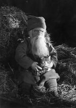 Watch Tomten 123MovieFree