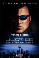 Watch True Justice: Brotherhood 123MovieFree