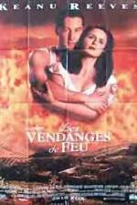 Watch A Walk in the Clouds 123MovieFree