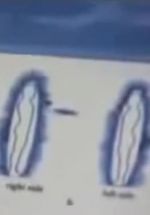 Watch Quantum Communication 123MovieFree