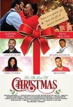 Watch For the Love of Christmas 123MovieFree