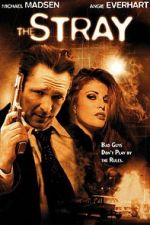 Watch The Stray 123MovieFree