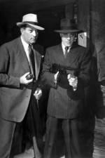 Watch No Orchids for Miss Blandish 123MovieFree