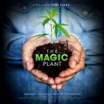 Watch The Magic Plant 123MovieFree