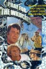 Watch Pray for the Wildcats 123MovieFree