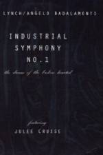 Watch Industrial Symphony No 1 The Dream of the Brokenhearted 123MovieFree