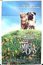 Watch Milo and Otis 123MovieFree
