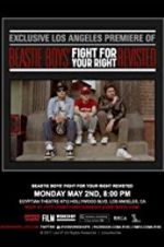Watch Beastie Boys: Fight for Your Right Revisited 123MovieFree