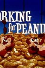 Watch Working For Peanuts 123MovieFree