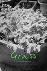 Watch Grass 123MovieFree