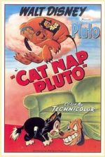 Watch Cat Nap Pluto 123MovieFree