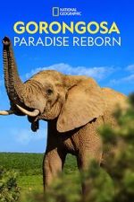 Watch Gorongosa: Paradise Reborn (Short 2022) 123MovieFree