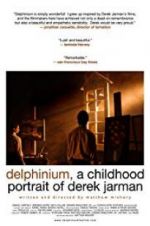 Watch Delphinium: A Childhood Portrait of Derek Jarman 123MovieFree