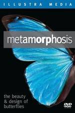 Watch Metamorphosis: The Beauty and Design of Butterflies 123MovieFree