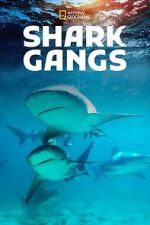 Watch Shark Gangs 123MovieFree