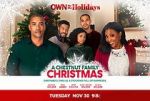 Watch A Chestnut Family Christmas 123MovieFree