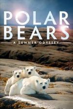 Watch Polar Bears: A Summer Odyssey 123MovieFree