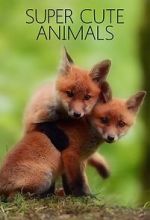 Watch Super Cute Animals 123MovieFree