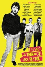 Watch I Was a Teenage Sex Pistol 123MovieFree
