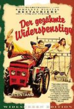 Watch The Taming of the Scoundrel 123MovieFree