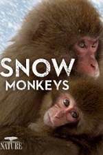 Watch Nature: Snow Monkeys 123MovieFree