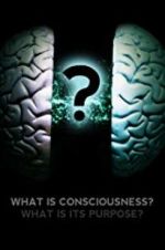 Watch What Is Consciousness? What Is Its Purpose? 123MovieFree