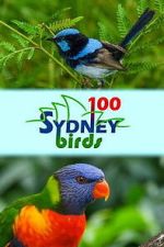 Watch 100 Sydney Birds 123MovieFree