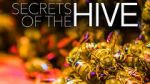 Watch Secrets of the Hive 123MovieFree