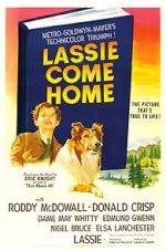 Watch Lassie Come Home 123MovieFree