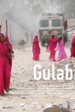 Watch Gulabi Gang 123MovieFree