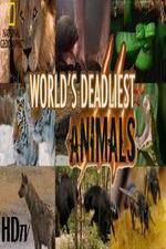 Watch National Geographic - Worlds Deadliest Animal Battles 123MovieFree
