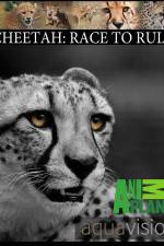 Watch Cheetah: Race to Rule 123MovieFree