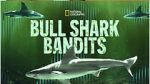 Watch Bull Shark Bandits 123MovieFree