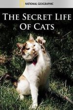 Watch The Secret Life of Cats 123MovieFree