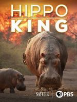 Watch Hippo King 123MovieFree