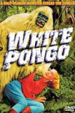 Watch White Pongo 123MovieFree
