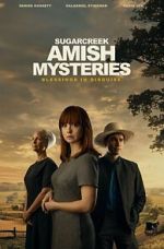 Watch Sugarcreek Amish Mysteries: Blessings in Disguise 123MovieFree