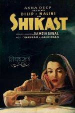 Watch Shikast 123MovieFree