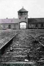 Watch AUSCHWITZ: FRENZIED KILLING 123MovieFree