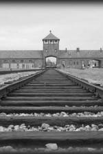 Watch AUSCHWITZ: ORDERS AND INITIATIVES 123MovieFree
