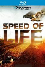 Watch Speed of Life 123MovieFree